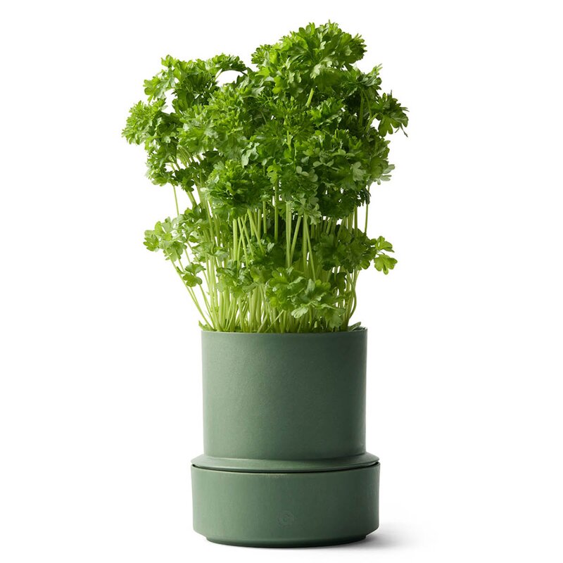 CrushGrind Billund selvvannende urtepotte 14x12 cm parsley