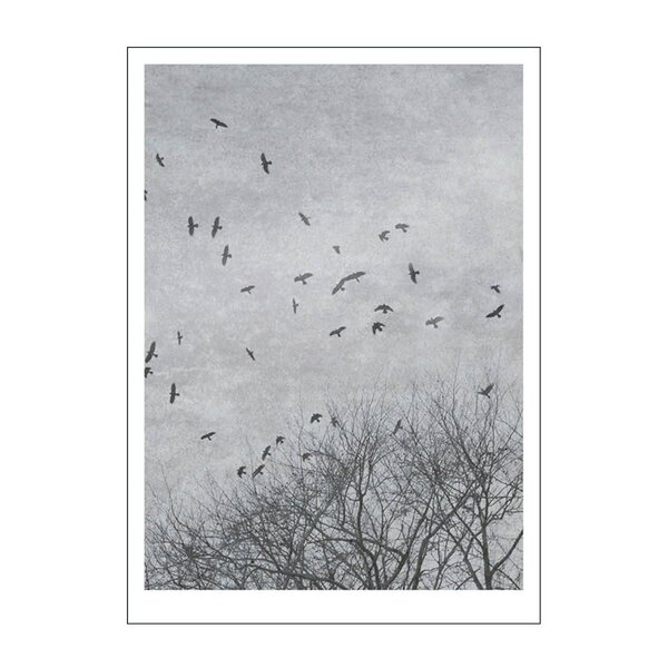 Poster & Frame Ingrey Studio poster 30x40 cm crows