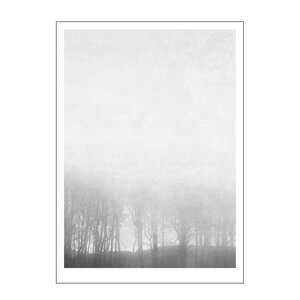 Poster & Frame Ingrey Studio poster 50x70 cm morning fog