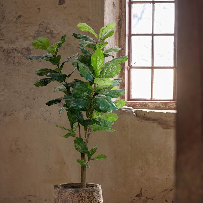 Mr Plant Fiolinfiken kunstig plante 150 cm