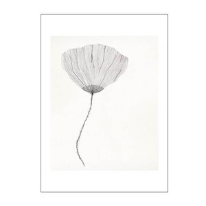 Poster & Frame The Poster Club x Ana Frois poster 50x70 cm poppy