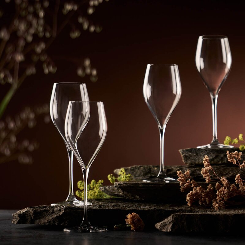 Modern House Sontell champagneglass universal 29 cl 6 stk klar