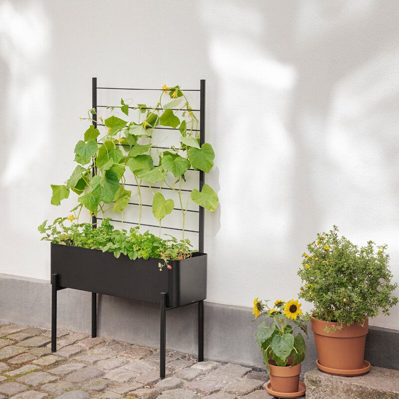 Eva Solo Simply Grow espalier til plantekasse svart