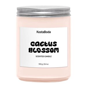 Kosta Boda Mind duftlys 13 cm Cactus Blossom