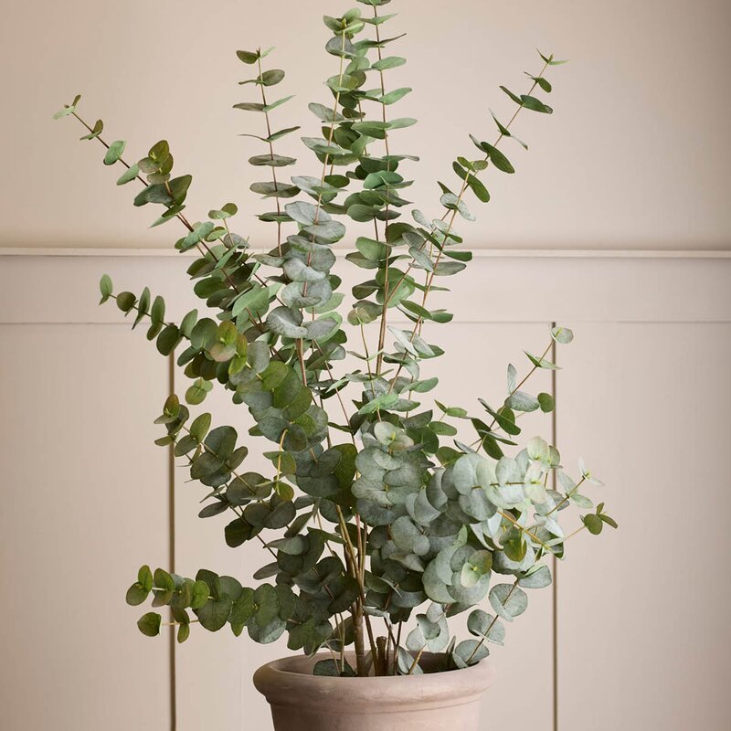 Mr Plant Eukalyptus kunstig plante 110 cm