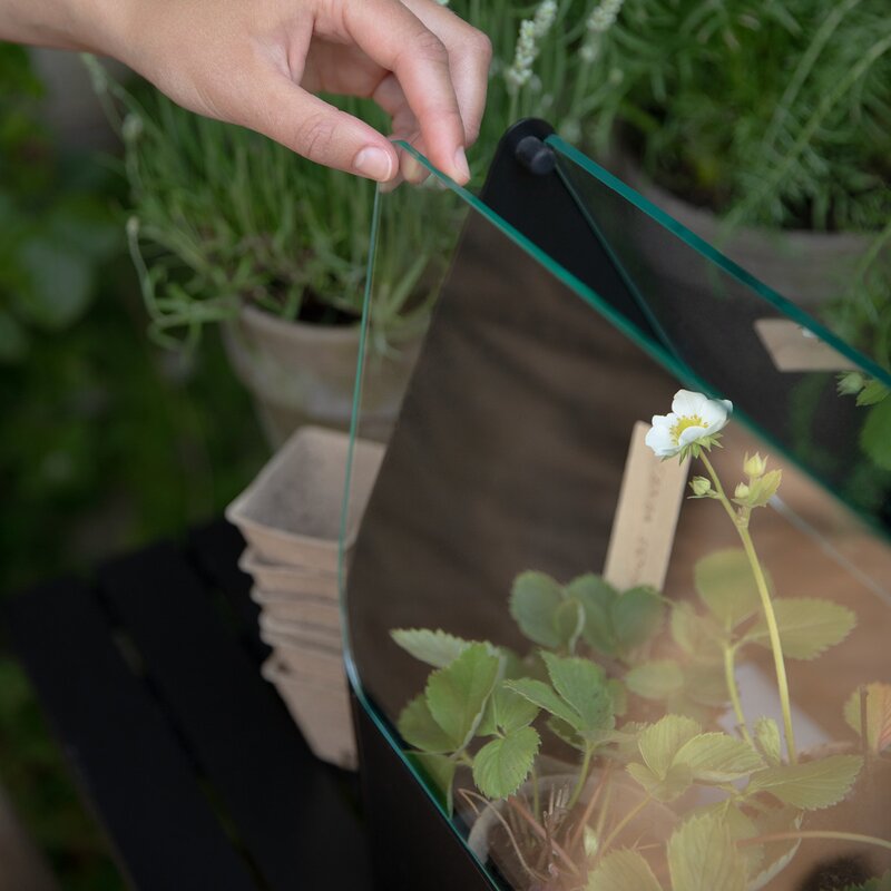 Eva Solo Simply Grow minidrivhus 20x42x32cm svart