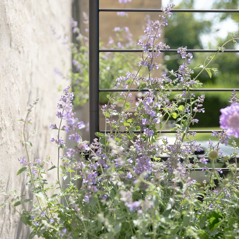 Eva Solo Simply Grow espalier til plantekasse svart