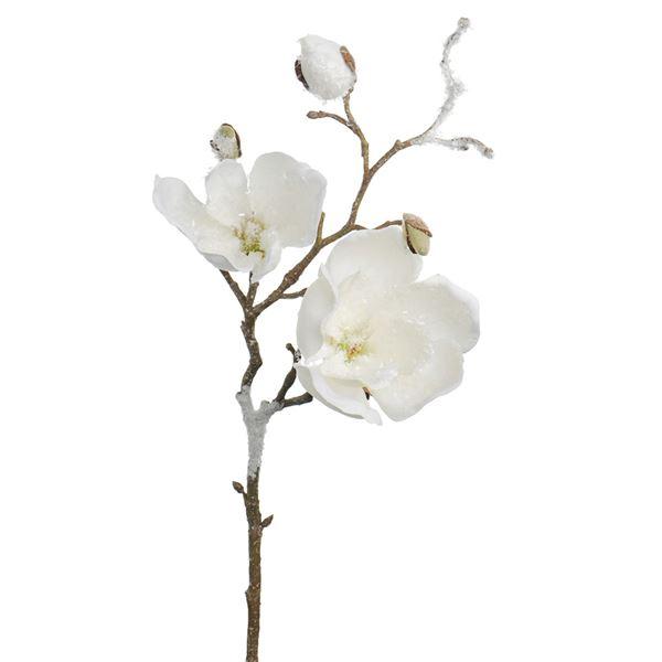 Mr Plant Silkeblomst magnolia med is 50 cm hvit