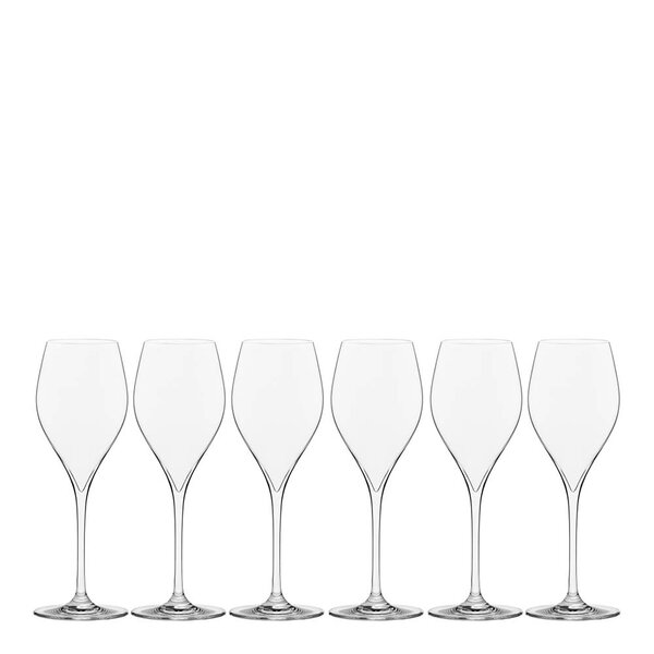 Modern House Sontell champagneglass universal 29 cl 6 stk klar
