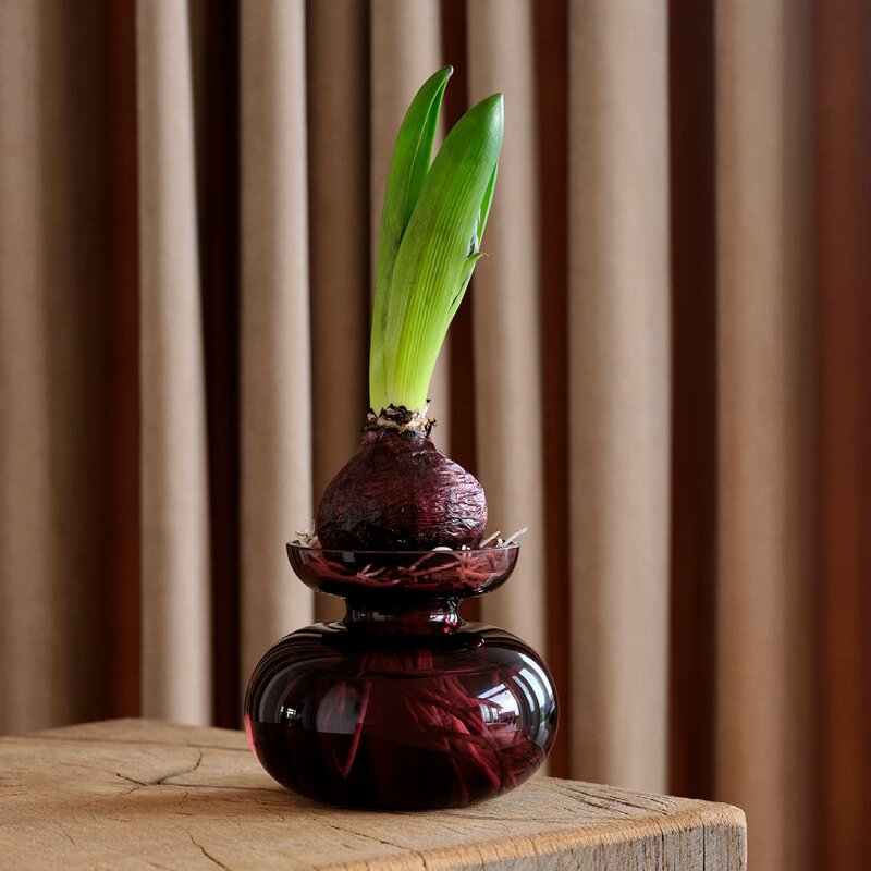 Zone Inu vase 11x9 cm plum