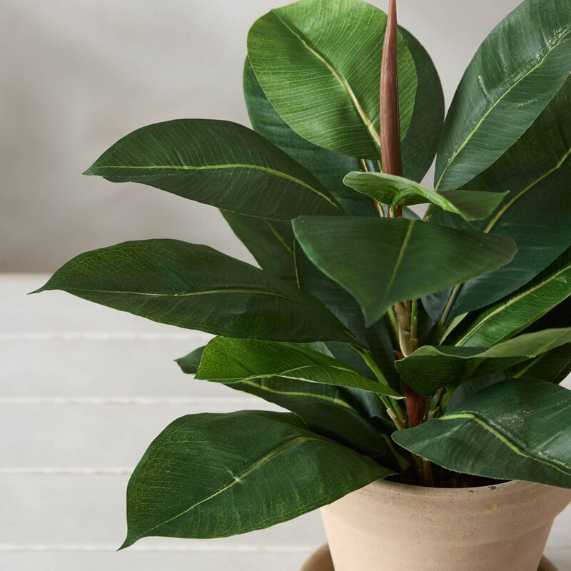 Mr Plant Fikus Robusta kunstig plante 35 cm