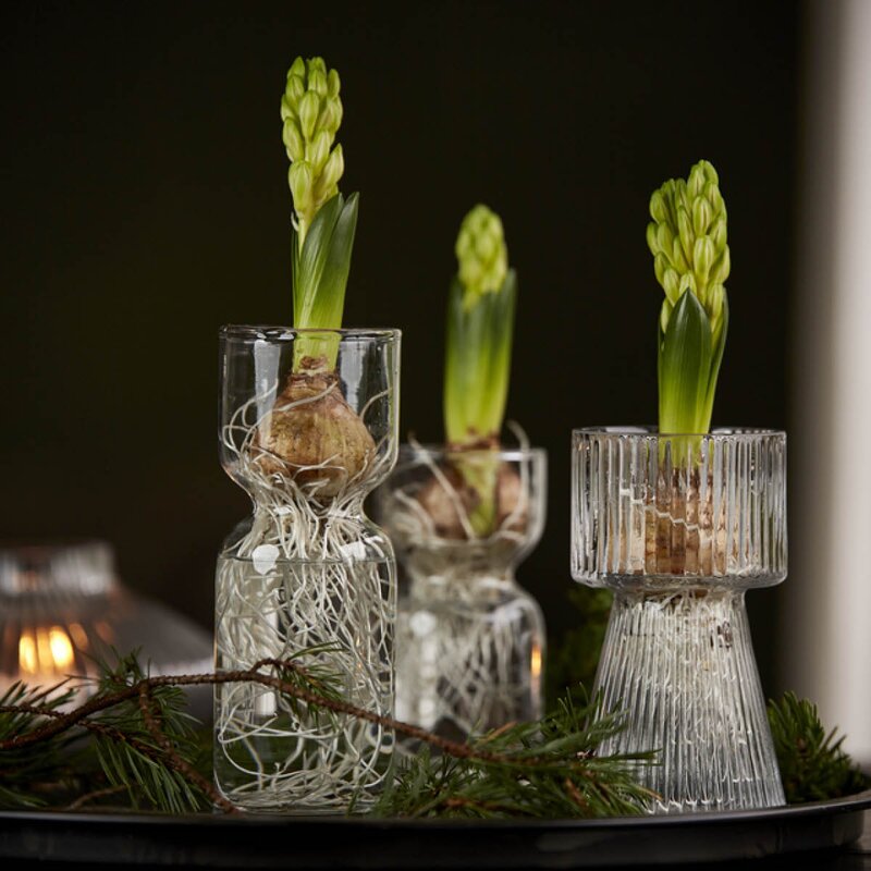 GUS Design Rette svibelvase 15 cm klar