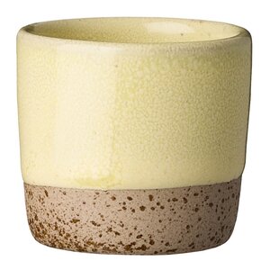 Aida RAW Colour minikopp 5 cl Yellowish