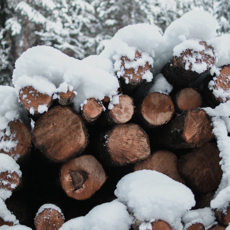 Wik & Walsøe Woodstokk dyp tallerken 21 cm