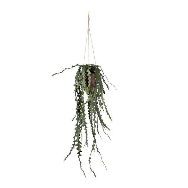 Mr Plant Elghornbregne kunstig plante 60 cm