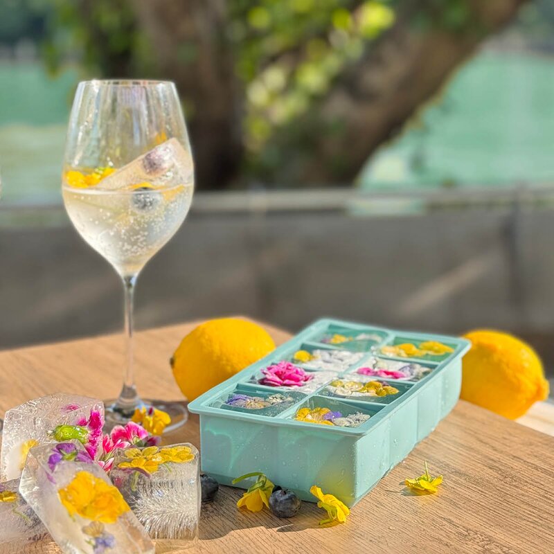 Modern House Ice isform for 8 store isbiter blå