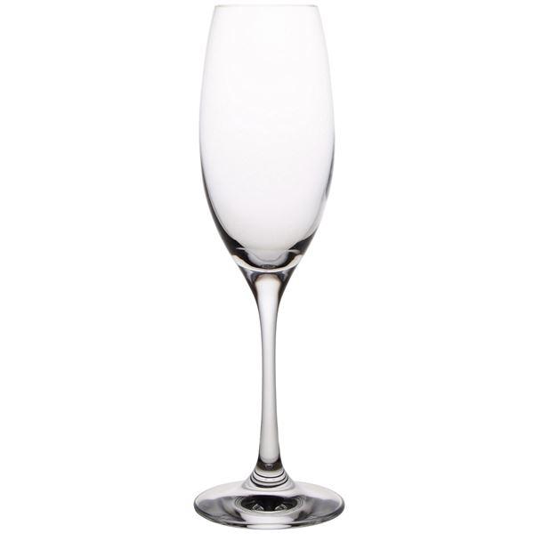 Stiernholm Vino Classico champagneglass 26 cl